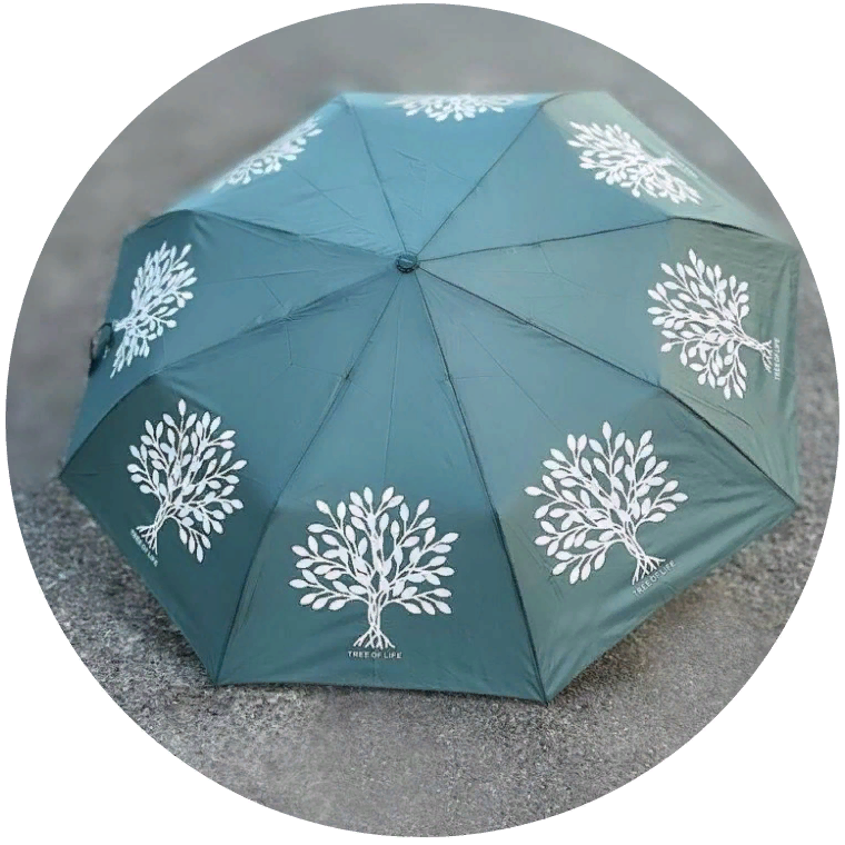 J.S Ondo Arbol (360) MENTA
