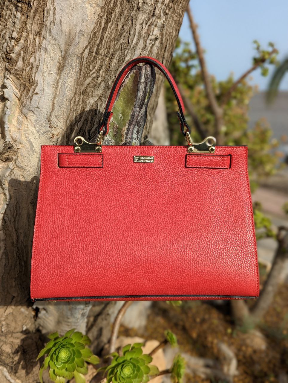 Ab. Zapatos 1619 New R · FUEGO+Ab.Zapatos PELLE Birkin/2 (720) rojo АКЦИЯ - Imagen 6